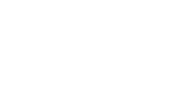 DMSB Logo Weiß
