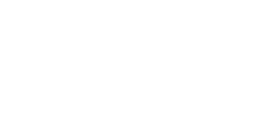 dsj Logo Weiß